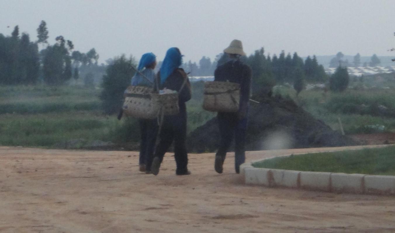 Workers at Flower Farm in China