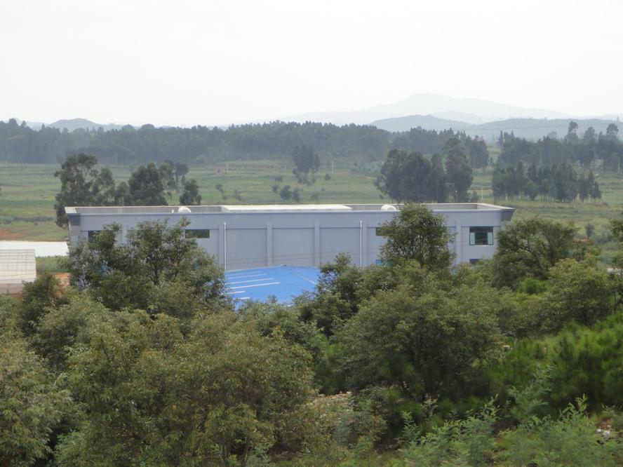 Flower Farm in China showing Farm Administration Building
