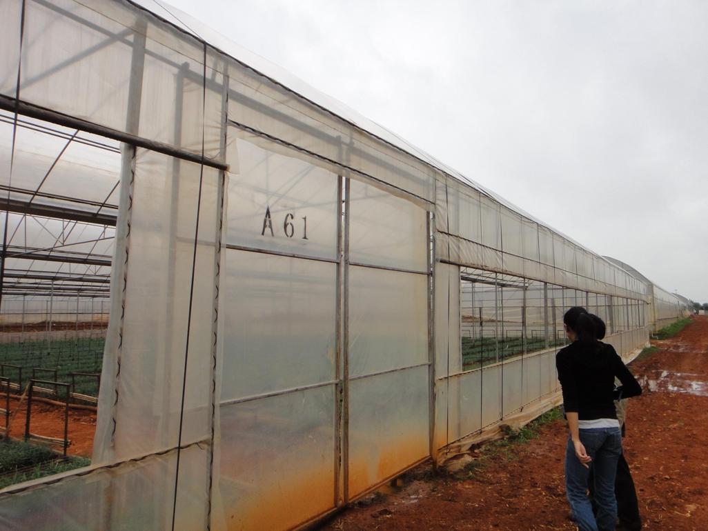 Flower Farm in China
