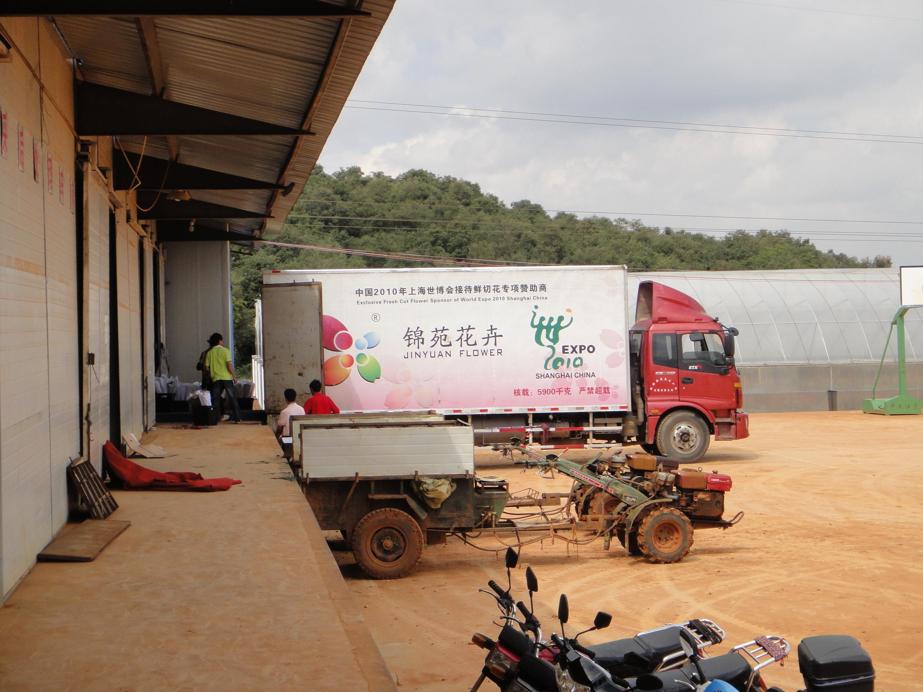 Jin Yuan Flower Company in Yunnan