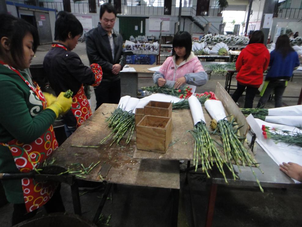 Jin Yuan Flower Company in Yunnan