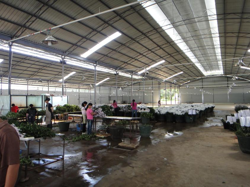 Jin Yuan Flower Company in Yunnan