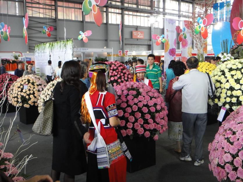 Kunming Flower Show