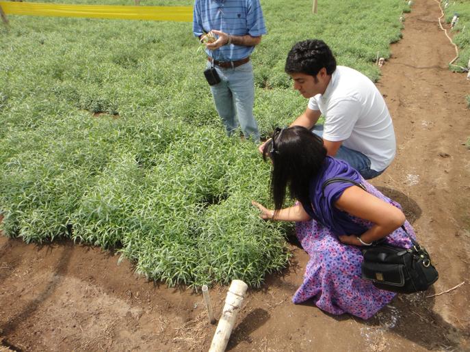 Colombia Herb Farm