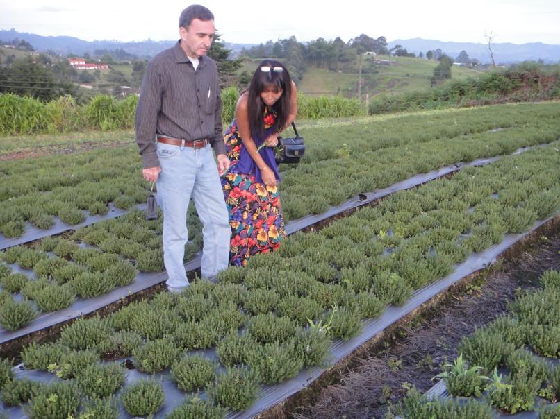 Colombia Herb Farm